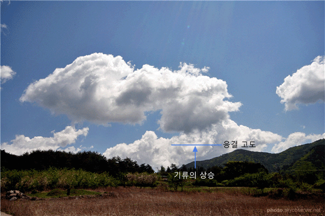 swell_cumulus_20080505_w650.gif