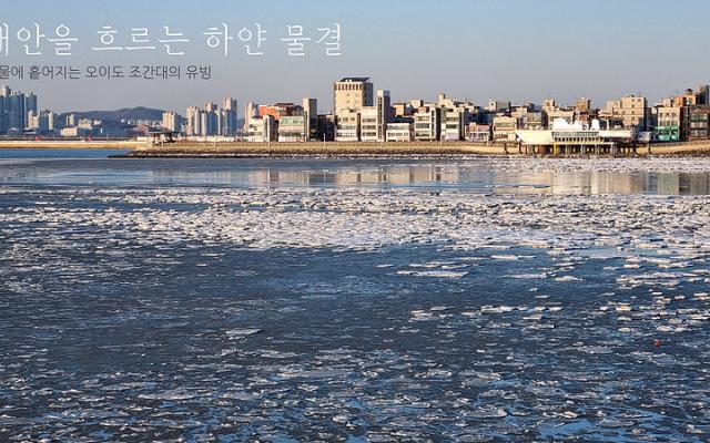 얼어붙은 바다, 떠도는 유빙 (오...